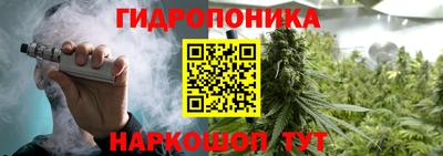 ПСИЛОЦИБИНОВЫЕ ГРИБЫ Ярославль