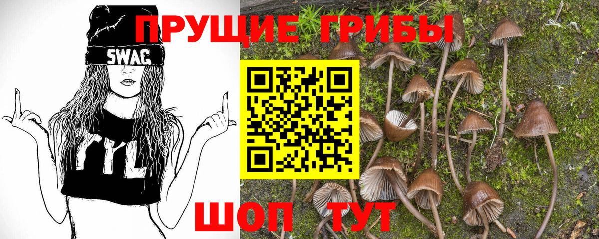 Псилоцибиновые грибы GOLDEN TEACHER Тихвин