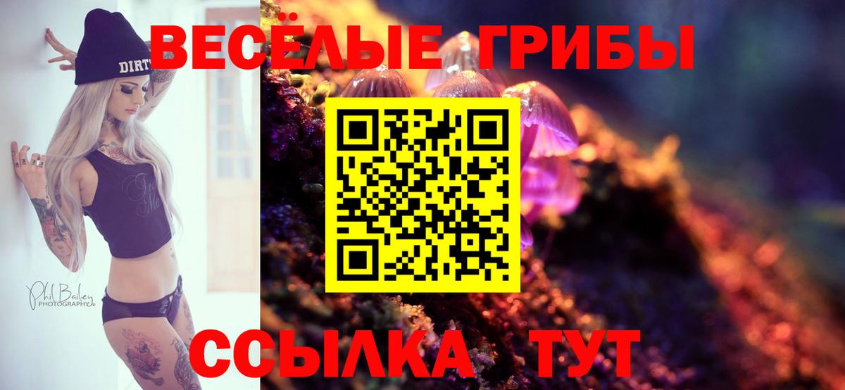 Псилоцибиновые грибы MAGIC MUSHROOMS  наркота  Тихвин  Псилоцибиновые грибы MAGIC MUSHROOMS  Вход с VPN 